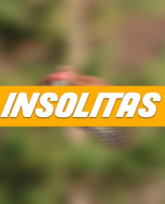 Showprep – Insólitas 6 de Octubre