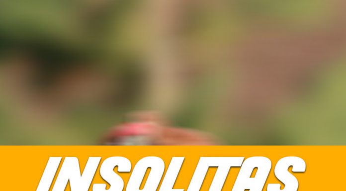 Showprep – Insólitas 25 de Mayo