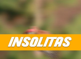 Showprep – Insólitas 17 de Abril