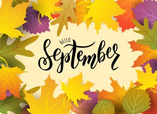 Top 15 de lo más destacado de septiembre 2022 en radioNOTAS