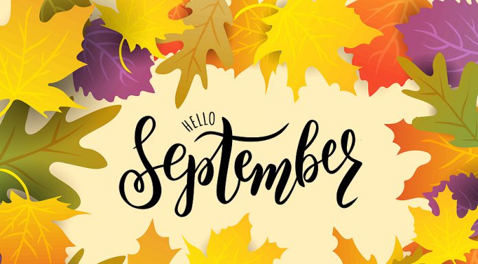 Top 15 de lo más destacado de septiembre 2023 en radioNOTAS