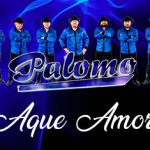 Grupo Palomo cuenta la historia de “Aquel Amor”