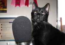 Emisoras de radio extrañas y diferentes