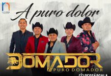 “A Puro Dolor” cobra un nuevo brillo con Puro Domador