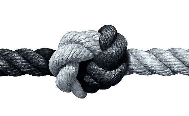 Ejecutivos de marca distribuyen dólares publicitarios con base en CONFIANZA