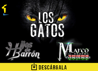 Los Gatos” logran reunir el talento de Los Hijos De Barrón y Marco Flores |  radioNOTAS