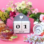 Top 15 de lo más destacado de julio en radioNOTAS