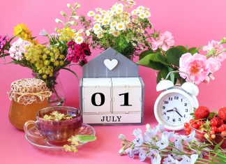 Top 15 de lo más destacado de julio en radioNOTAS