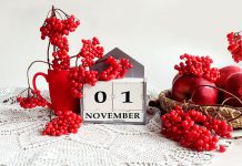 Top 15 de lo más destacado de noviembre en radioNOTAS