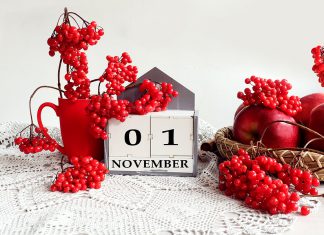 Top 15 de lo más destacado de noviembre en radioNOTAS