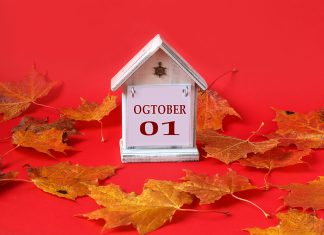 Top 15 de lo más destacado de octubre en radioNOTAS