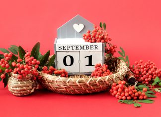 Top 15 de lo más destacado de septiembre en radioNOTAS