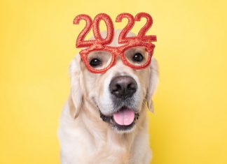 ¡radioNOTAS te desea un feliz y próspero 2022!