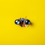 6 tips para que la IA te ayude a prospectar mejor a tus clientes