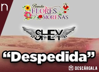 Flores Morenas y Grupo Shey hablan ahora de una “Despedida”