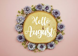 Top 15 de lo más destacado de agosto 2022 en radioNOTAS