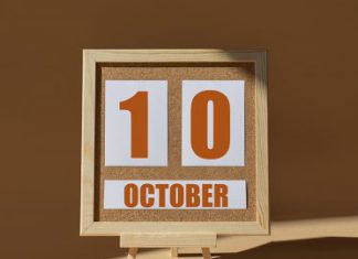 Top 15 de lo más destacado de octubre 2022 en radioNOTAS