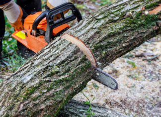 ¿Qué tan afilada está tu sierra?