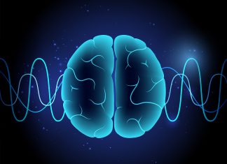 Ondas cerebrales pueden escucharse en modo ‘AM’ y ‘FM’ ¡Conoce más!