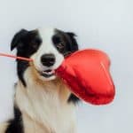 Premios valiosos de radio, pero que a su vez no tienen precio