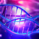 ¿Qué es el ADN de tu marca de radio y cómo cuidarlo?