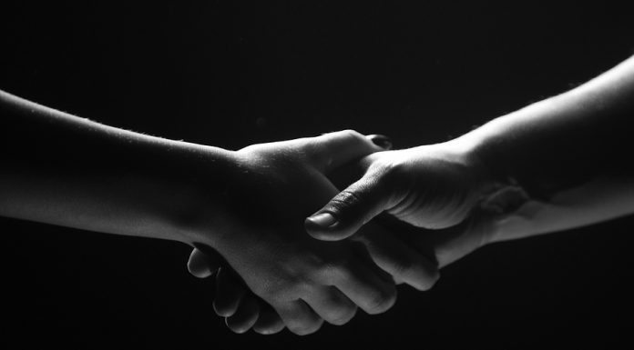 ¿Cuál es tu aportación a la industria?