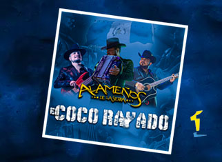 ¡A bailar con el “El Coco Rayado” de Los Alameños de la Sierra!