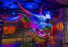 Análisis de caso Cirque du Soleil: Cuando el innovador necesita (re)innovar