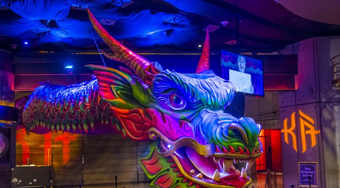 Análisis de caso Cirque du Soleil: Cuando el innovador necesita (re)innovar