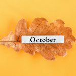 Top 15 de lo más destacado de octubre 2023 en radioNOTAS