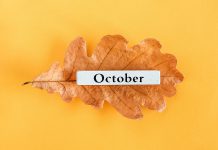 Top 15 de lo más destacado de octubre 2023 en radioNOTAS