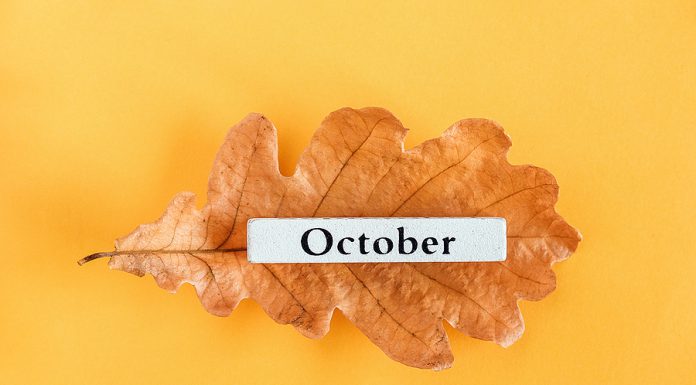 Top 15 de lo más destacado de octubre 2023 en radioNOTAS