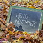 Top 15 de lo más destacado de noviembre 2023 en radioNOTAS