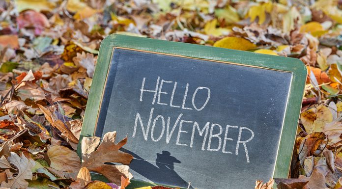 Top 15 de lo más destacado de noviembre 2023 en radioNOTAS