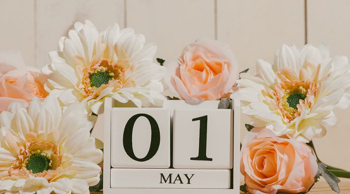 Top 15 de lo más destacado de mayo 2023 en radioNOTAS