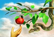 Los 7 pecados capitales a la hora de innovar en radio