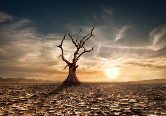 El pozo político se secó, ¿ahora de dónde sacamos más anunciantes?