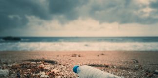 ¿Qué es la erosión de la audiencia y cómo evitarla?