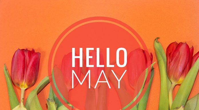 Top 15 de lo más destacado de mayo 2025 en radioNOTAS