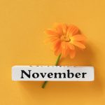 Top 15 de lo más destacado de noviembre 2025 en radioNOTAS