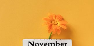 Top 15 de lo más destacado de noviembre 2025 en radioNOTAS