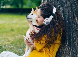 Grupos radiofónicos hispanos en EE. UU. más escuchados online / enero 2026