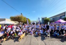 Se llevó a cabo la Canrrera 2026 de Vibra Radio y Los Noticieristas en Guamúchil