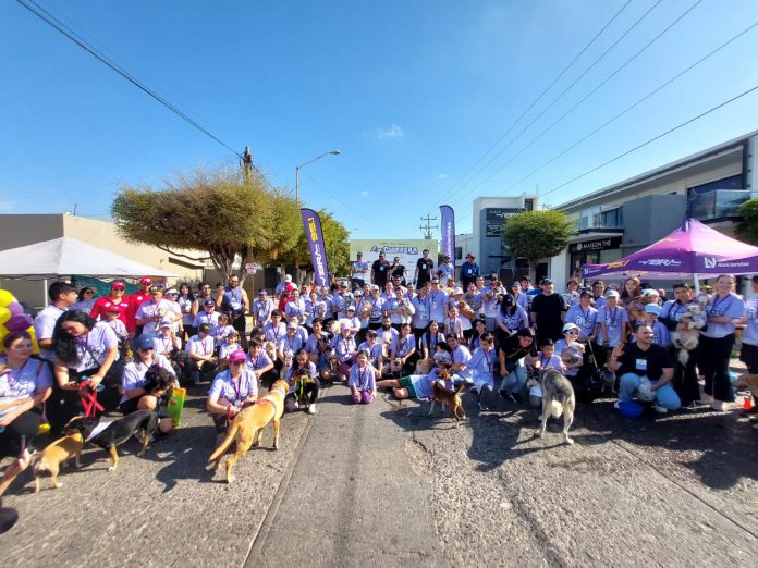 perro-canrrera-gml-1-1