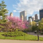 Ratings/abril 2026: Nueva York, LA, Chicago, San Francisco, Dallas y Houston