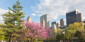 Ratings/abril 2026: Nueva York, LA, Chicago, San Francisco, Dallas y Houston