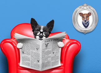8 de cada 10 personas creen importante estar informadas