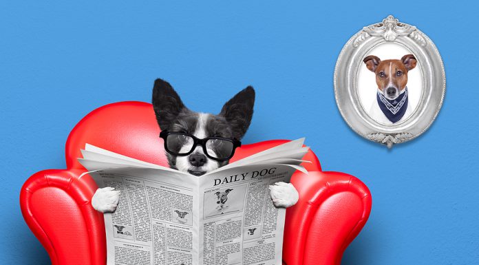 8 de cada 10 personas creen importante estar informadas