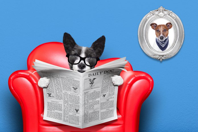 Dog Reading Newspaper