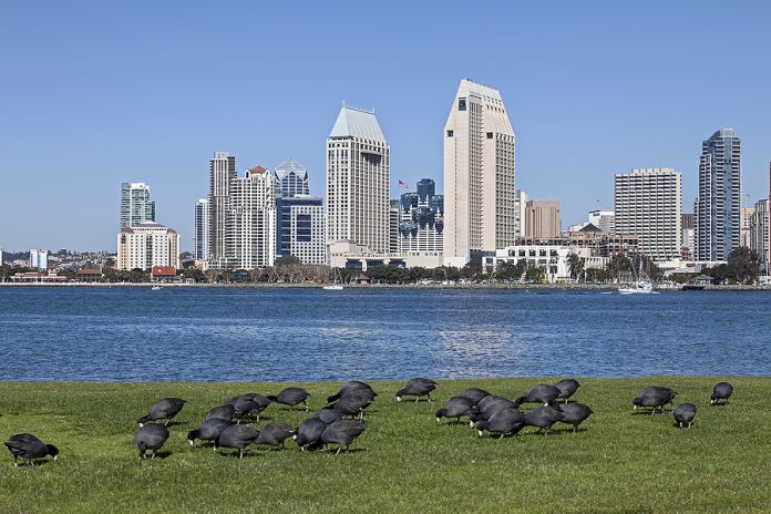 San Diego at Sunny Day
